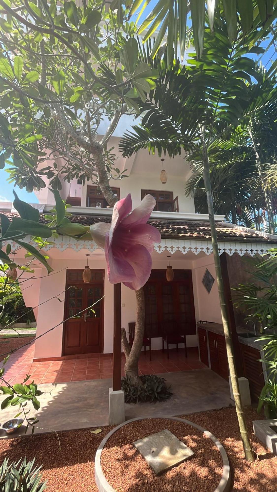 Beach Club Apartments Induruwa Exterior photo